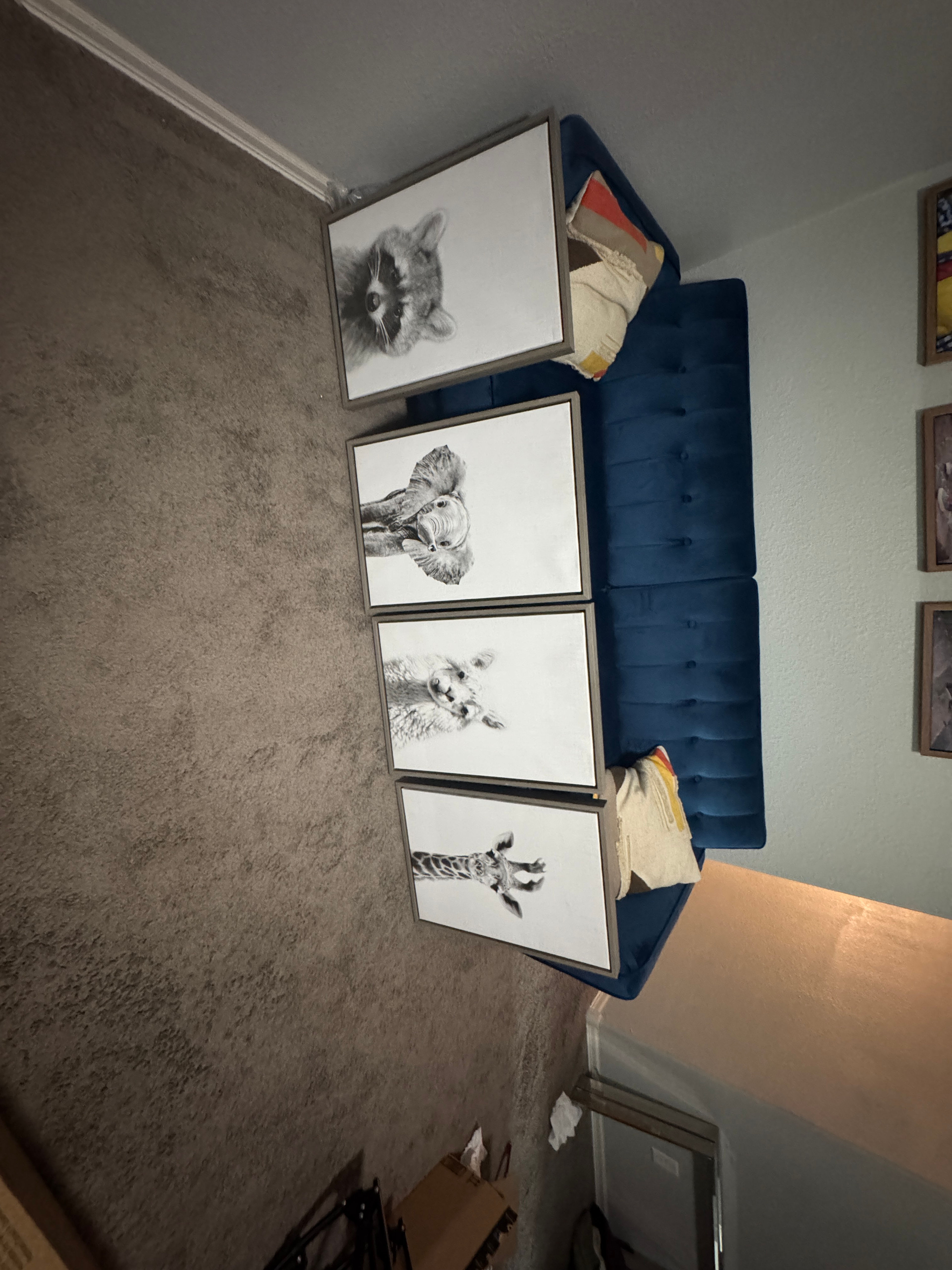 Kate and Laurel Sylvie Framed Canvas Animal Prints Set of 4