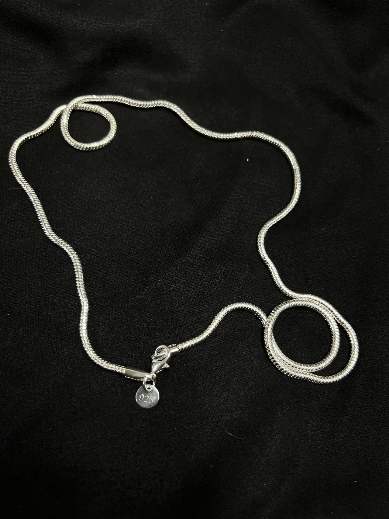 Sterling Silver Snake Chain Necklace
