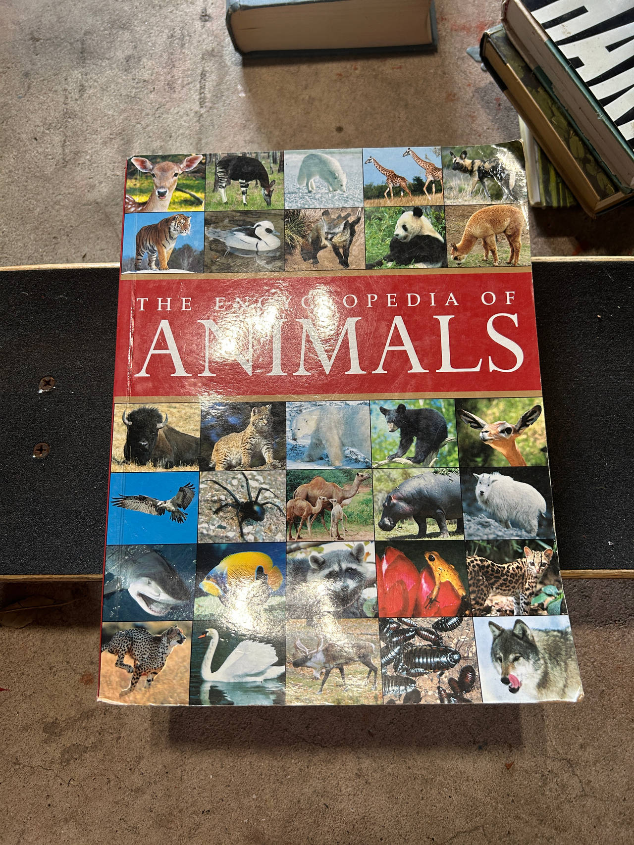 The Encyclopedia of Animals