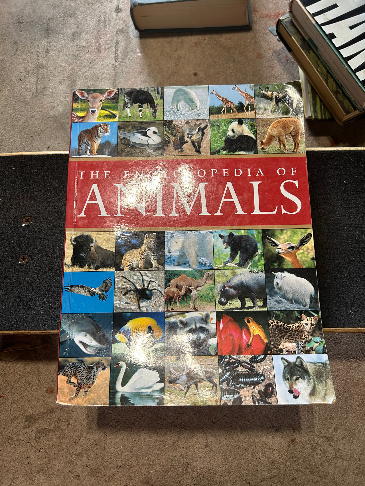 The Encyclopedia of Animals