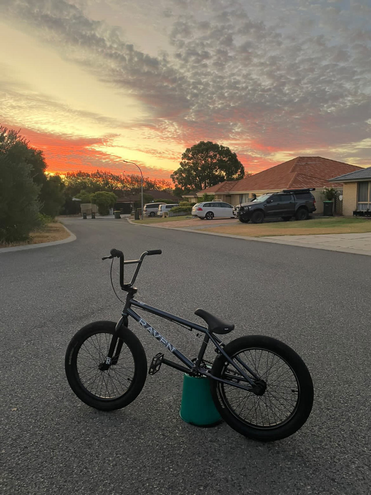 Division BMX Bike