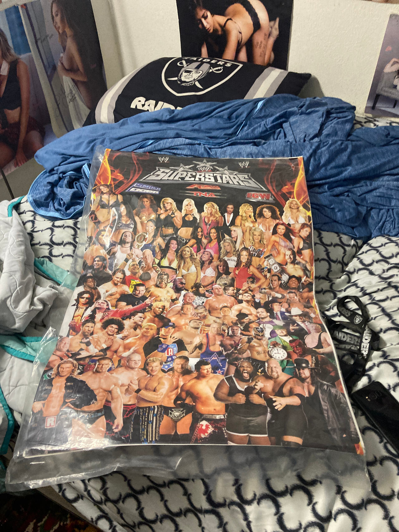 WWE Superstars Poster