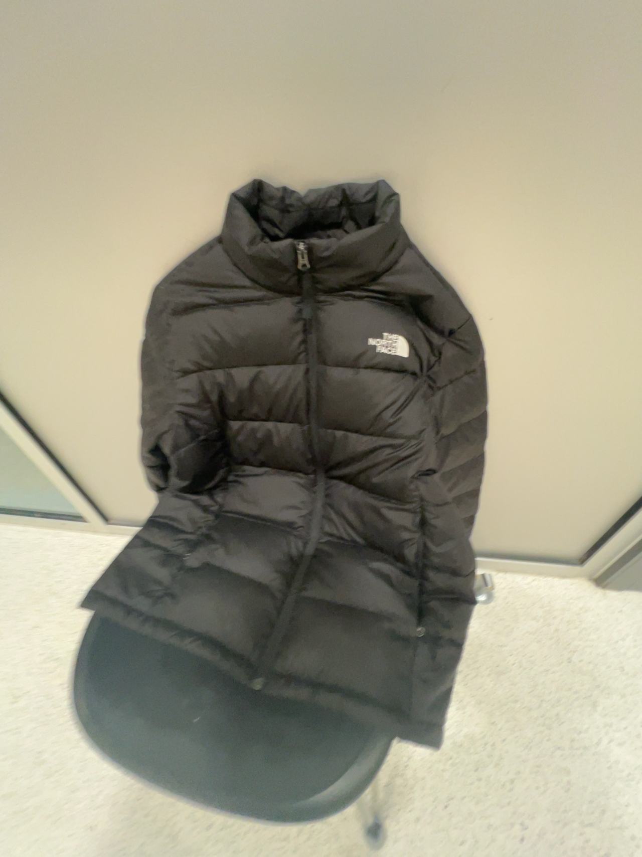 The North Face Black Down Puffer Jacket