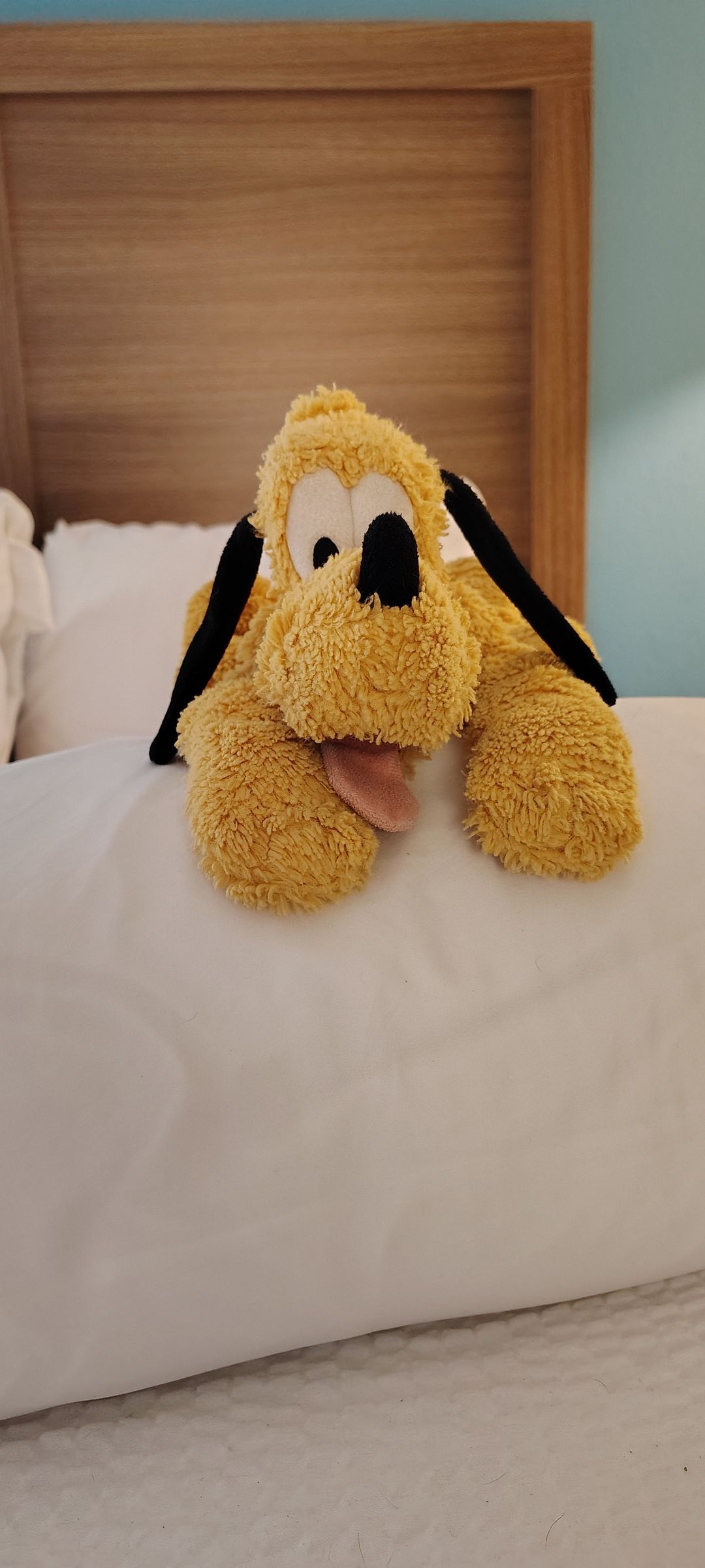 Disney Pluto Sherpa Plush