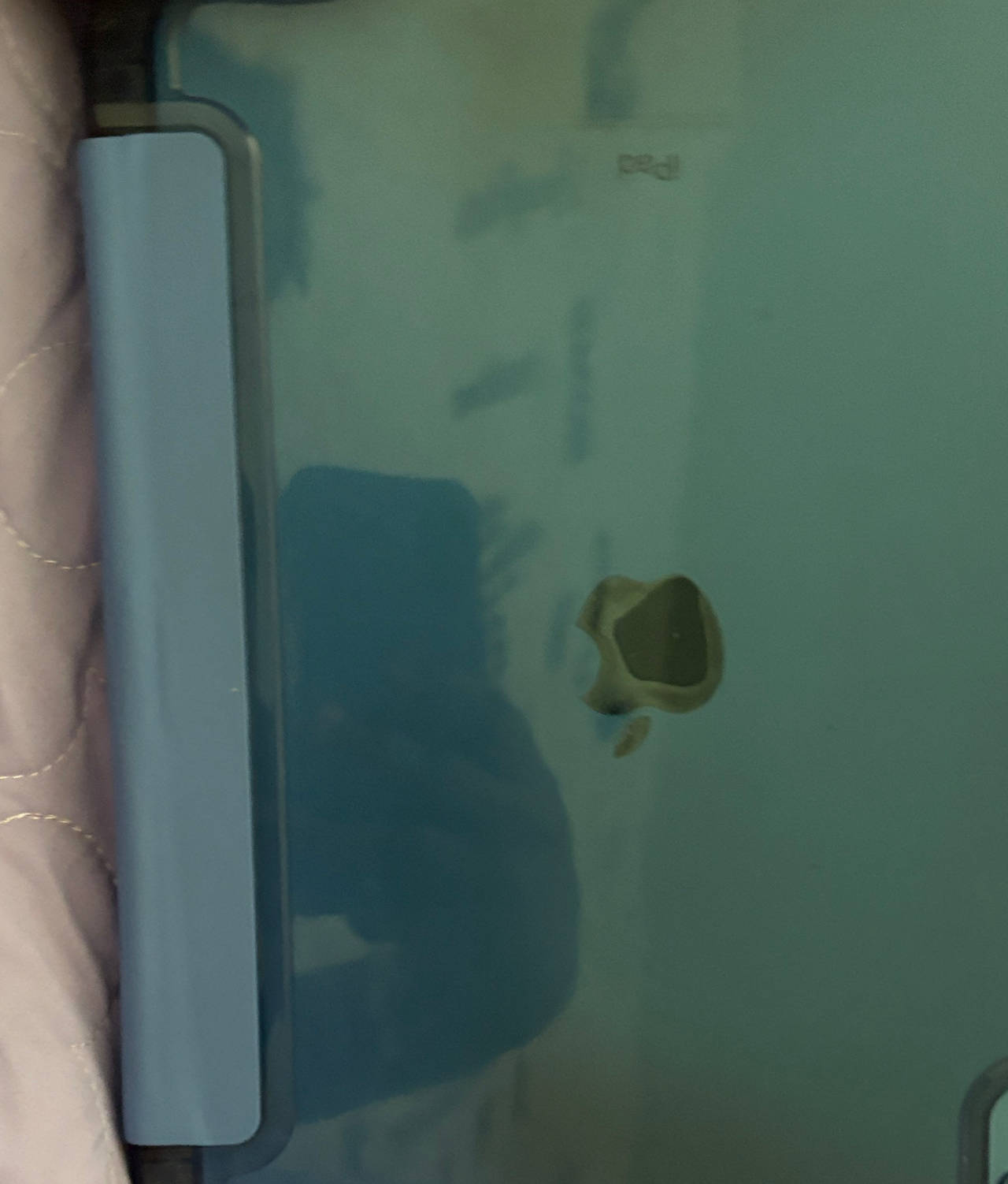 Apple iPad Case with Clear Back
