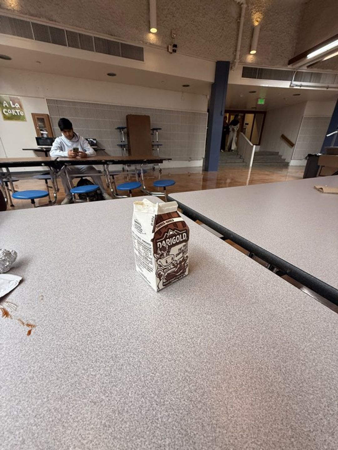 Darigold Chocolate Milk