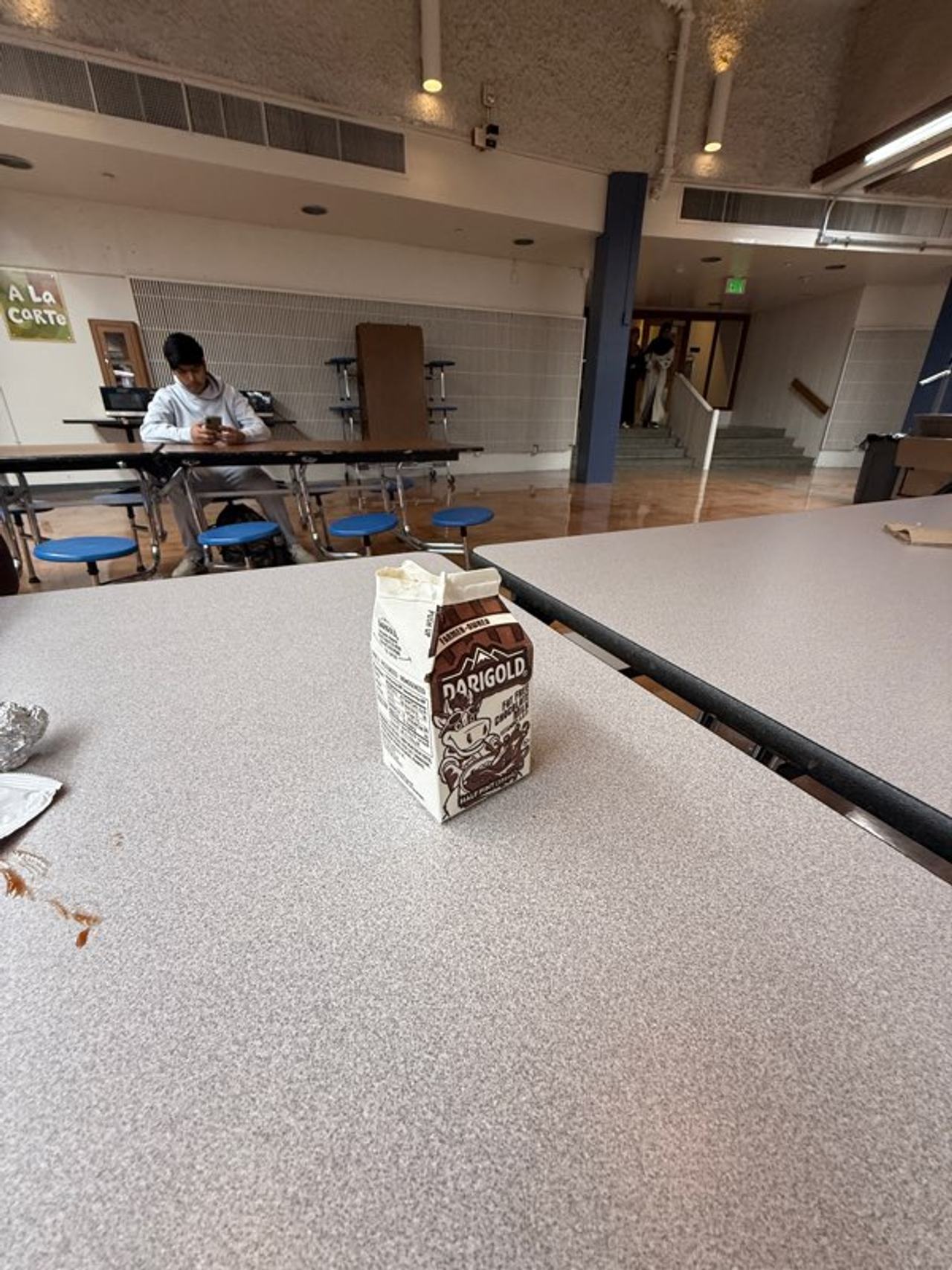 Darigold Chocolate Milk