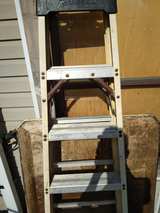 Werner 6 ft. Fiberglass Step Ladder - Image 1