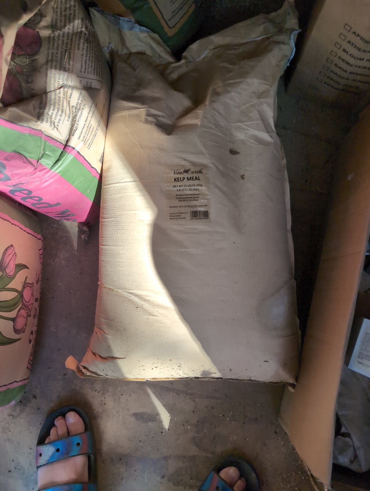 Vital Earth's Kelp Meal 55lb Bag