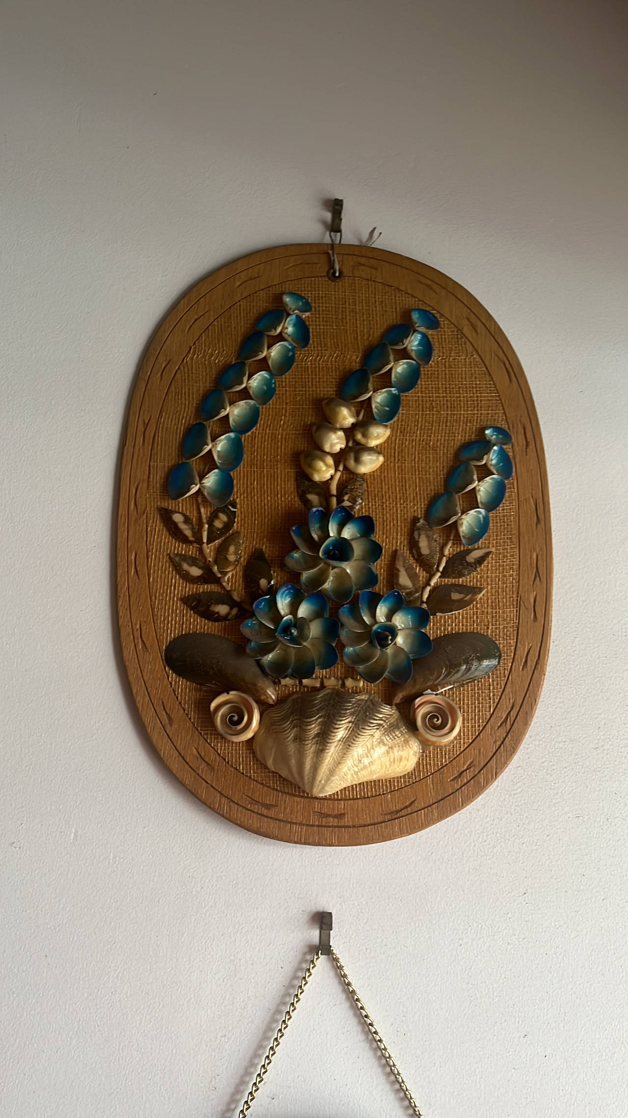 Vintage Seashell Wall Art