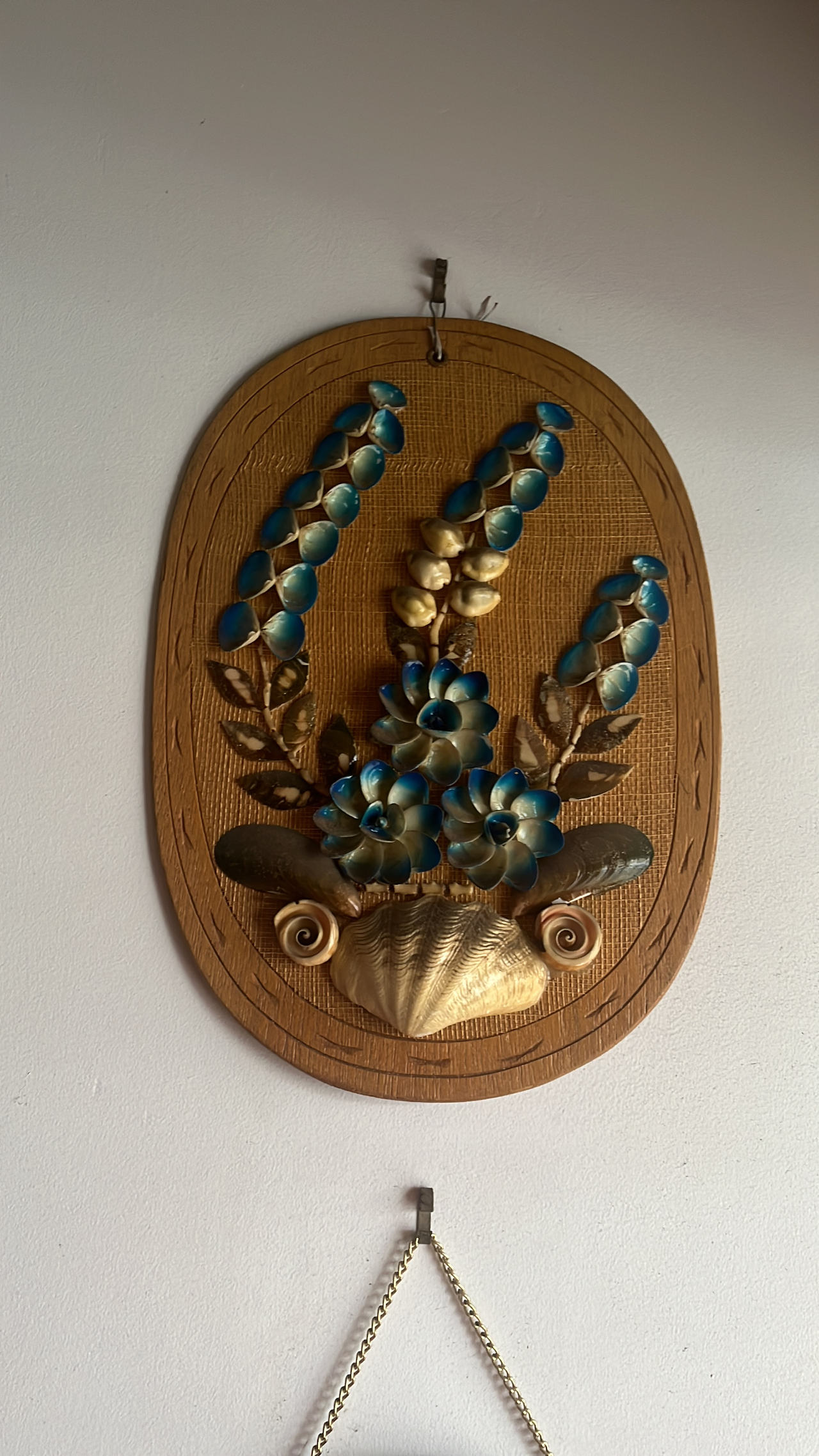 Vintage Seashell Wall Art