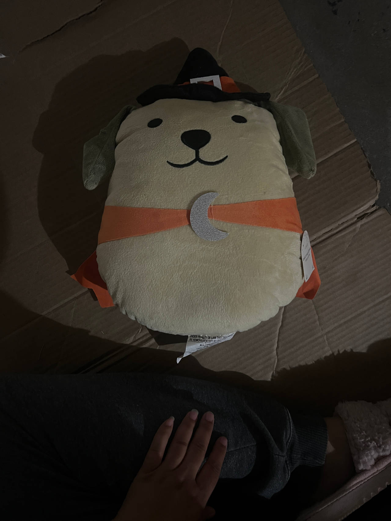 Halloween Dog Plush
