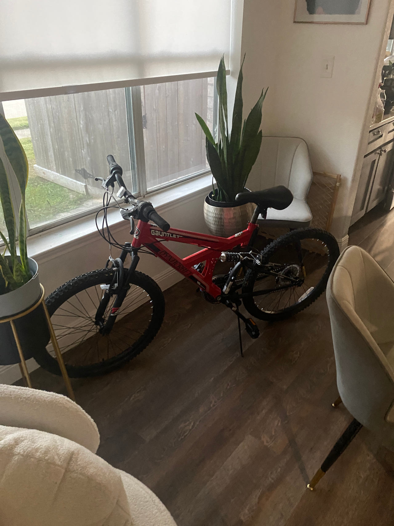 Gauntlet Mountain Bike
