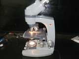 AmScope Compound Microscope - Image 3