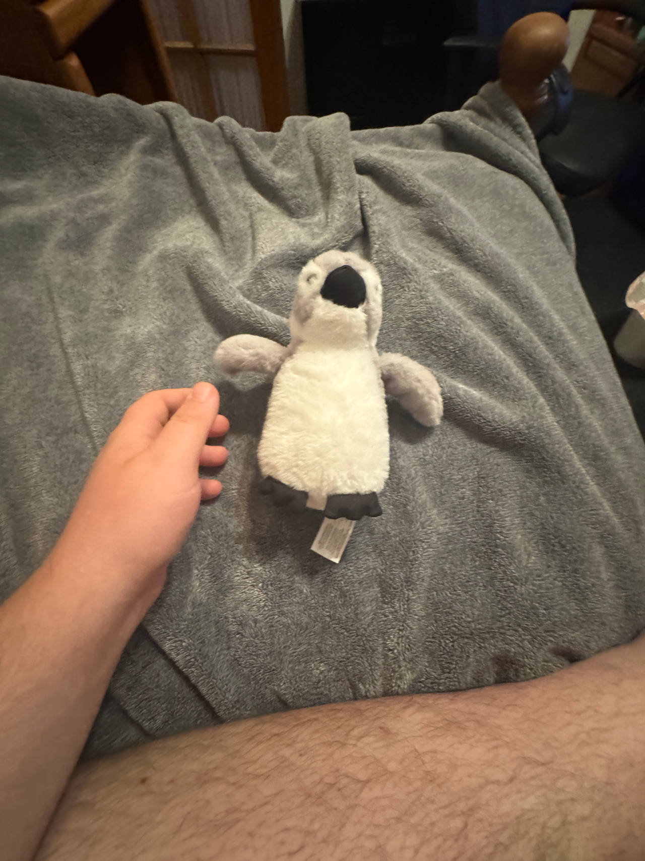 Penguin Plush Toy