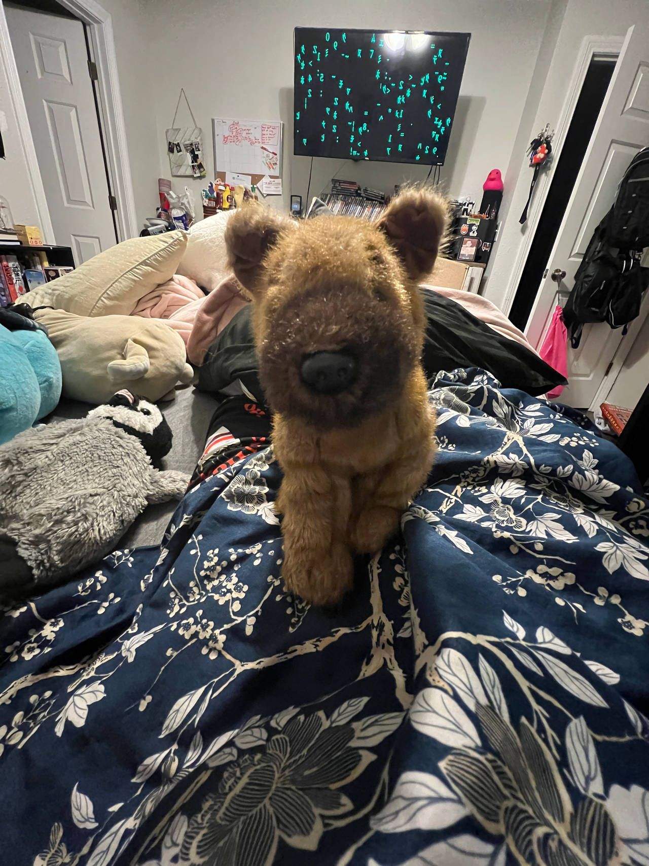 Plush Dog Toy