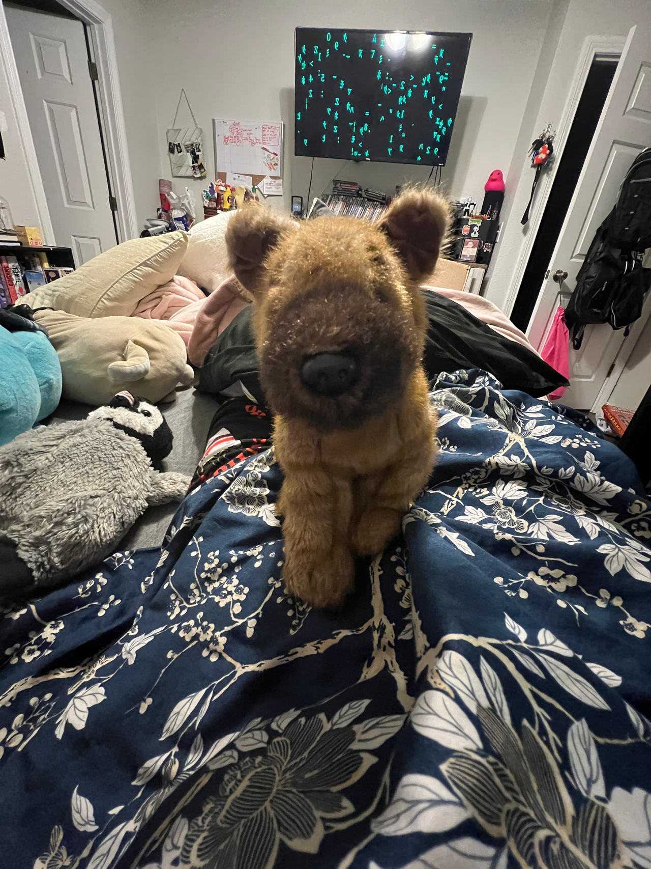 Plush Dog Toy