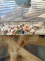 Triangular Glass Shell Shadow Box - Image 4