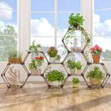 Hexagonal Modular Shelf - Image 1
