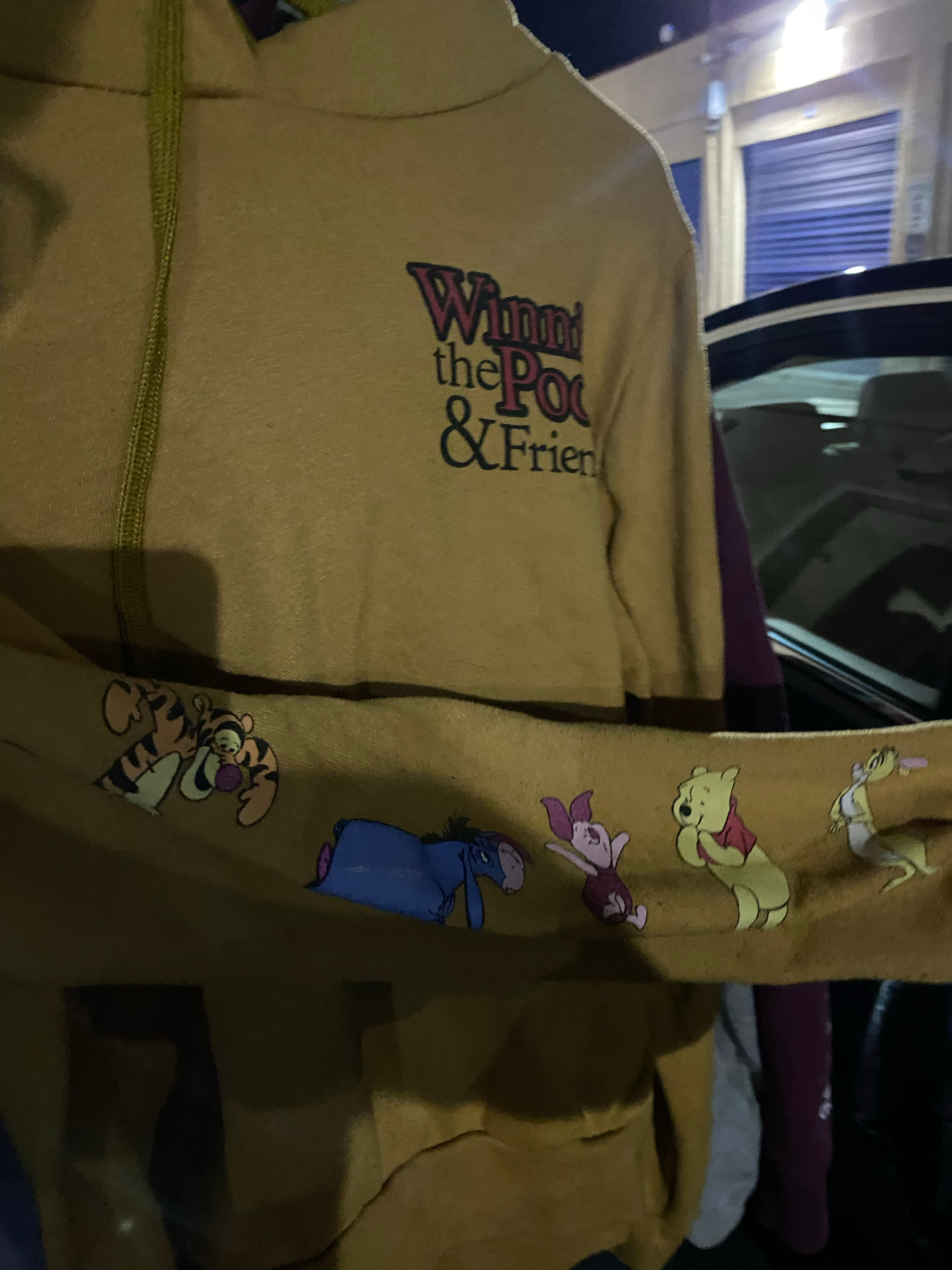 Winnie the Pooh & Friends Hoodie