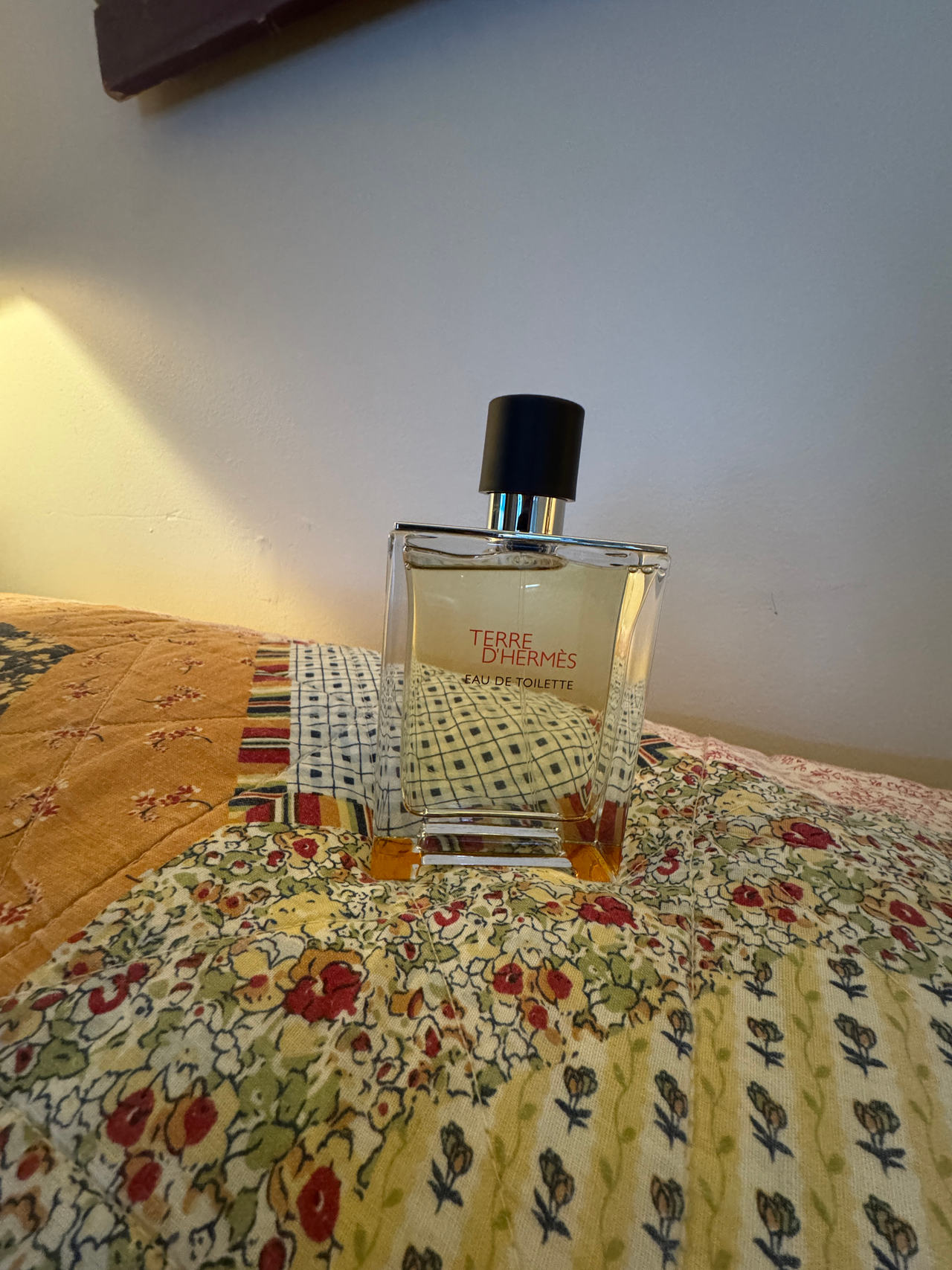 Hermès Terre d'Hermès Eau de Toilette