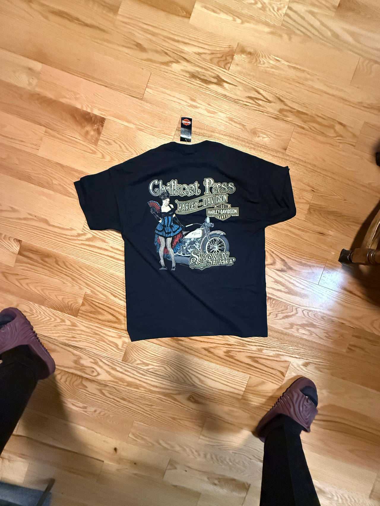 Harley-Davidson Chilkat Pass T-Shirt
