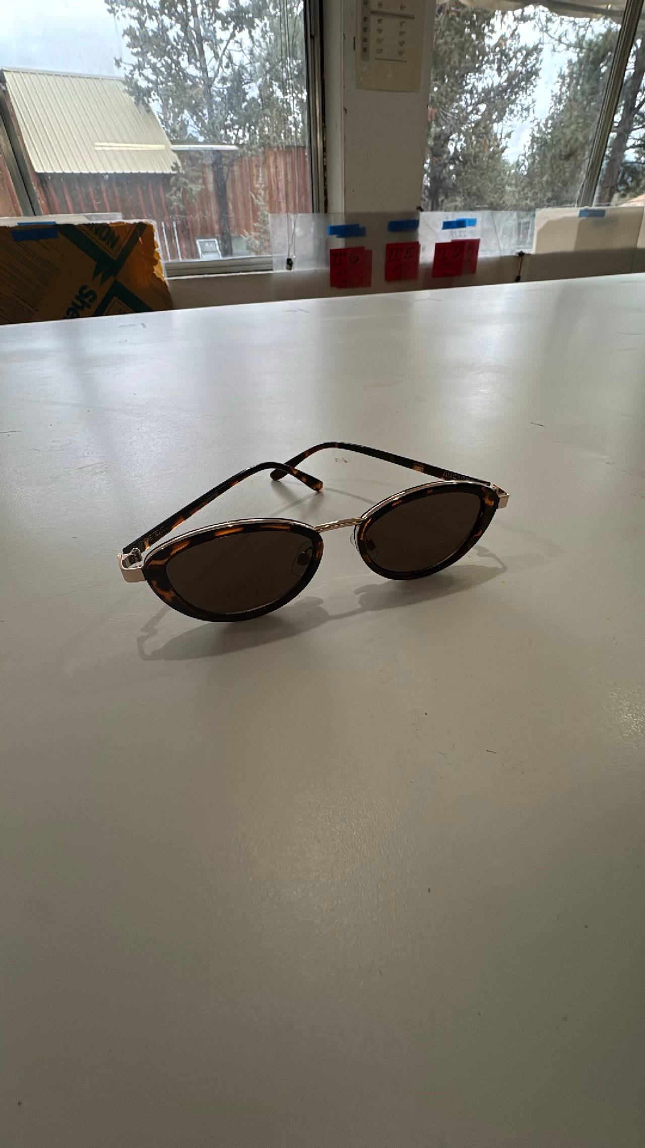 Polarized Sunglasses