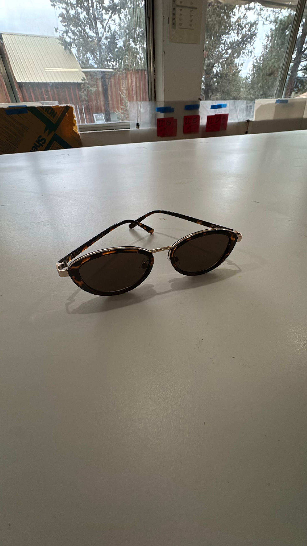 Polarized Sunglasses