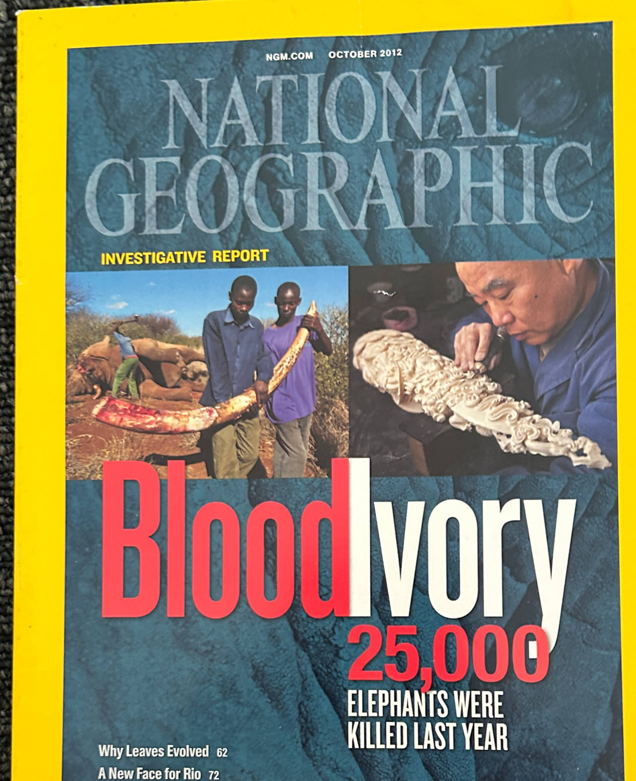 National Geographic Magazine October 2012 Blood Ivory Issue