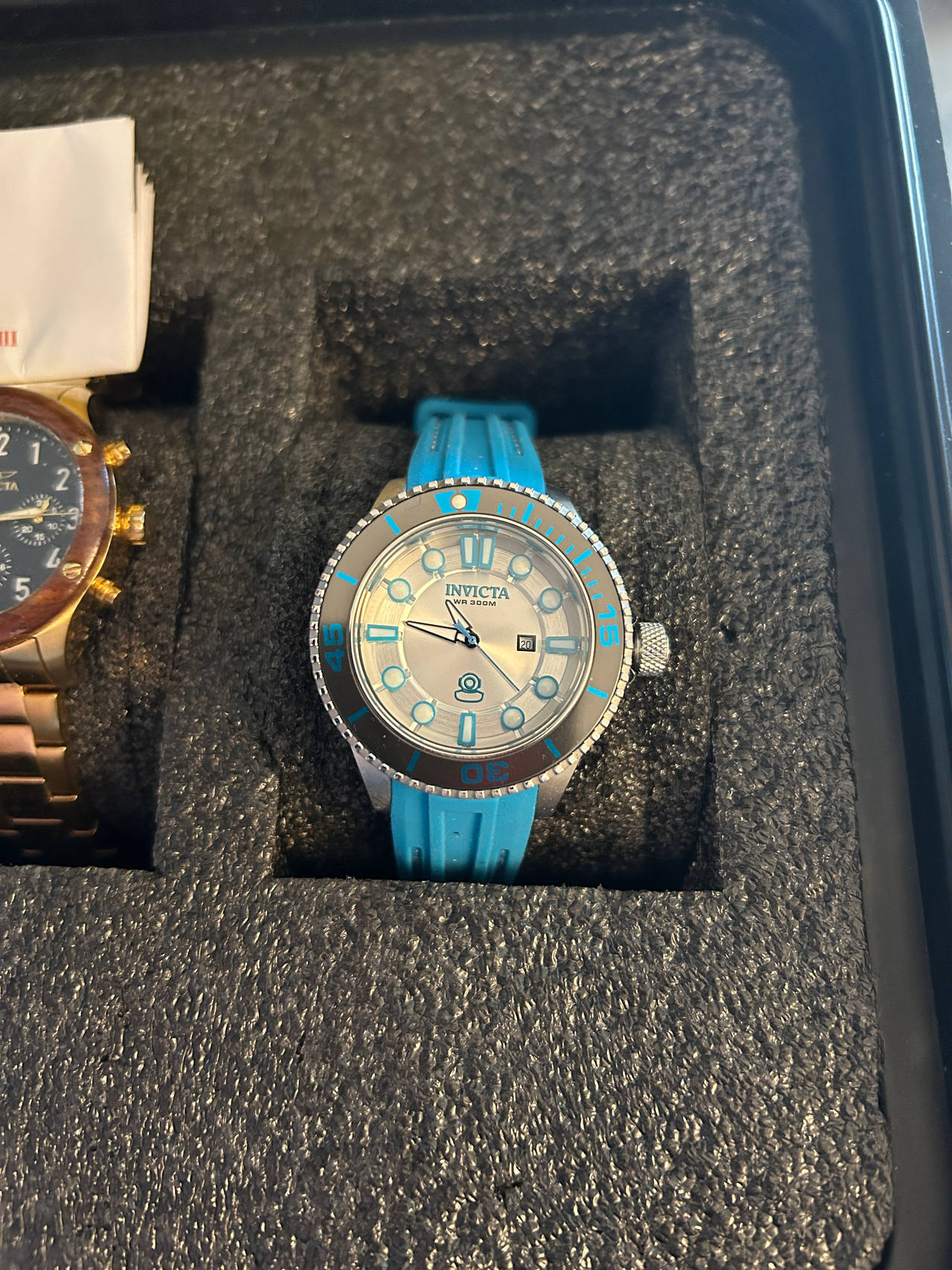 Invicta Pro Diver