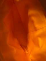 YETI Hopper M12 Soft Backpack Cooler in RARE King Crab Orange - Image 4