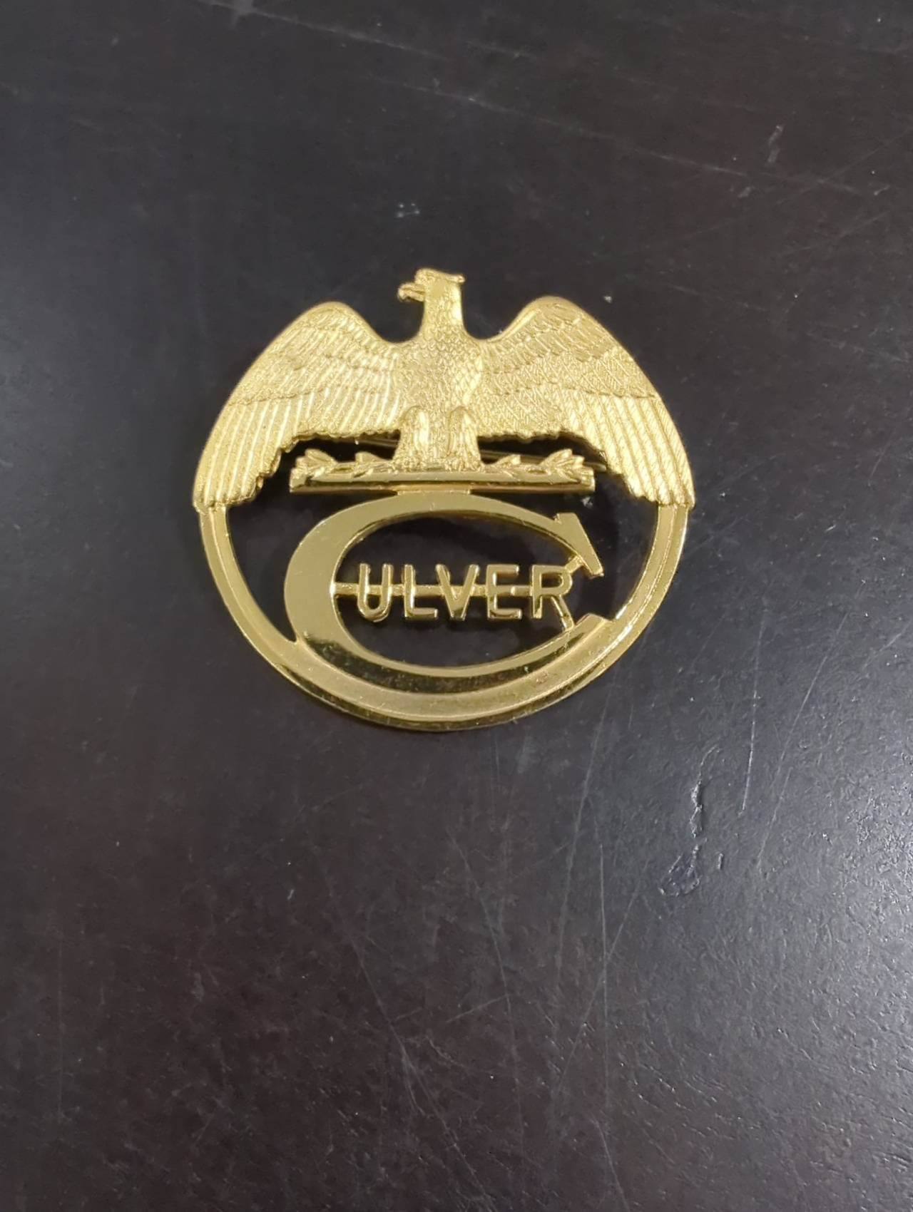 Culver Academies Eagle Crest Pin
