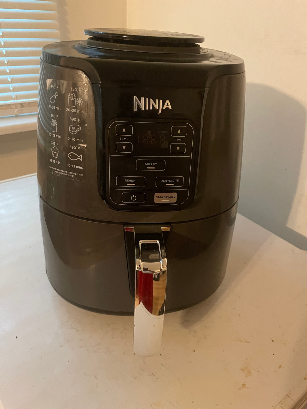 Ninja Air Fryer