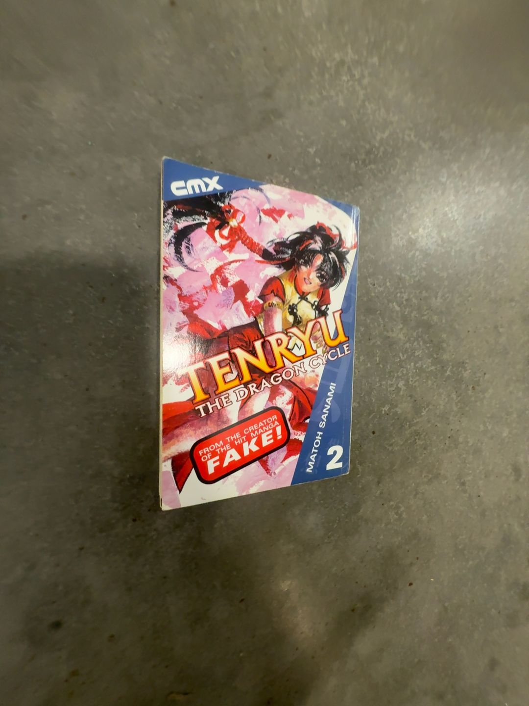 Tenryu: The Dragon Cycle Volume 1 Paperback