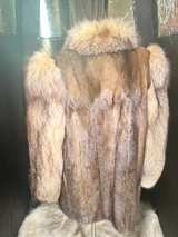 Red Fox and mink  - Image 2