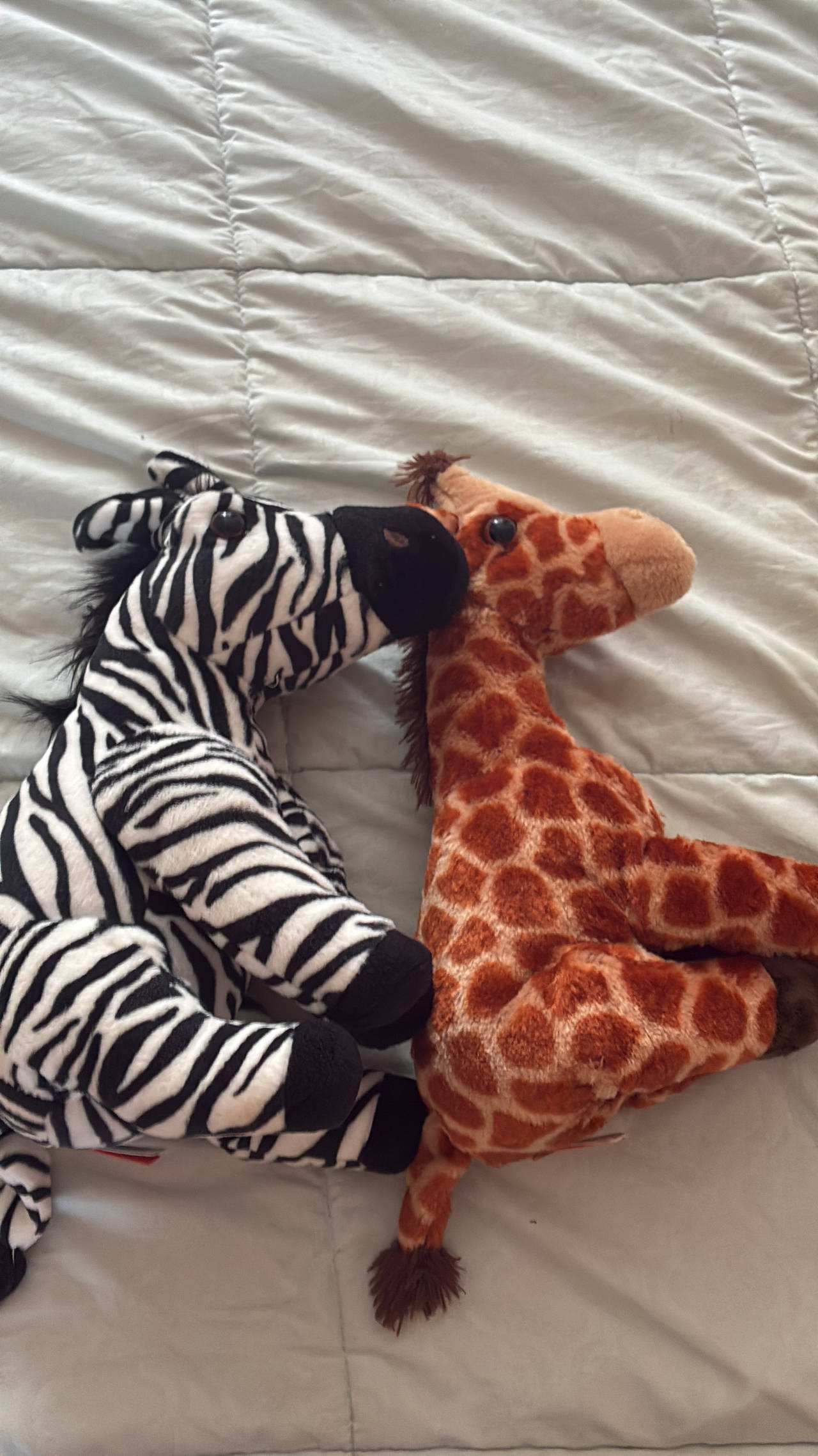Ty Beanie Babies Ziggy the Zebra and Twigs the Giraffe