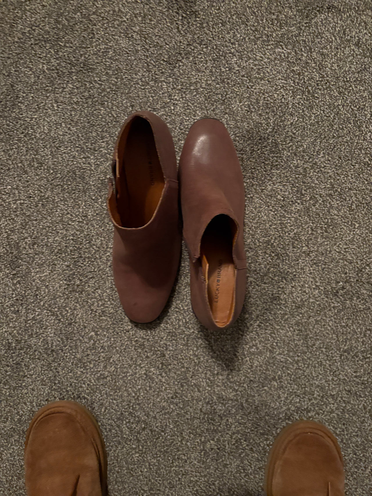 Women's Brown Leather Ankle Booties