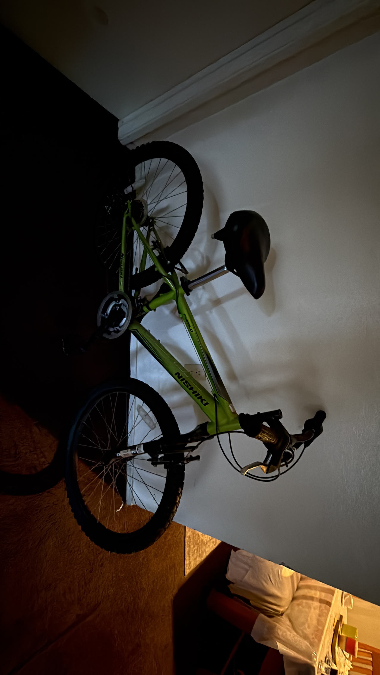 Nishiki Mountain Bike