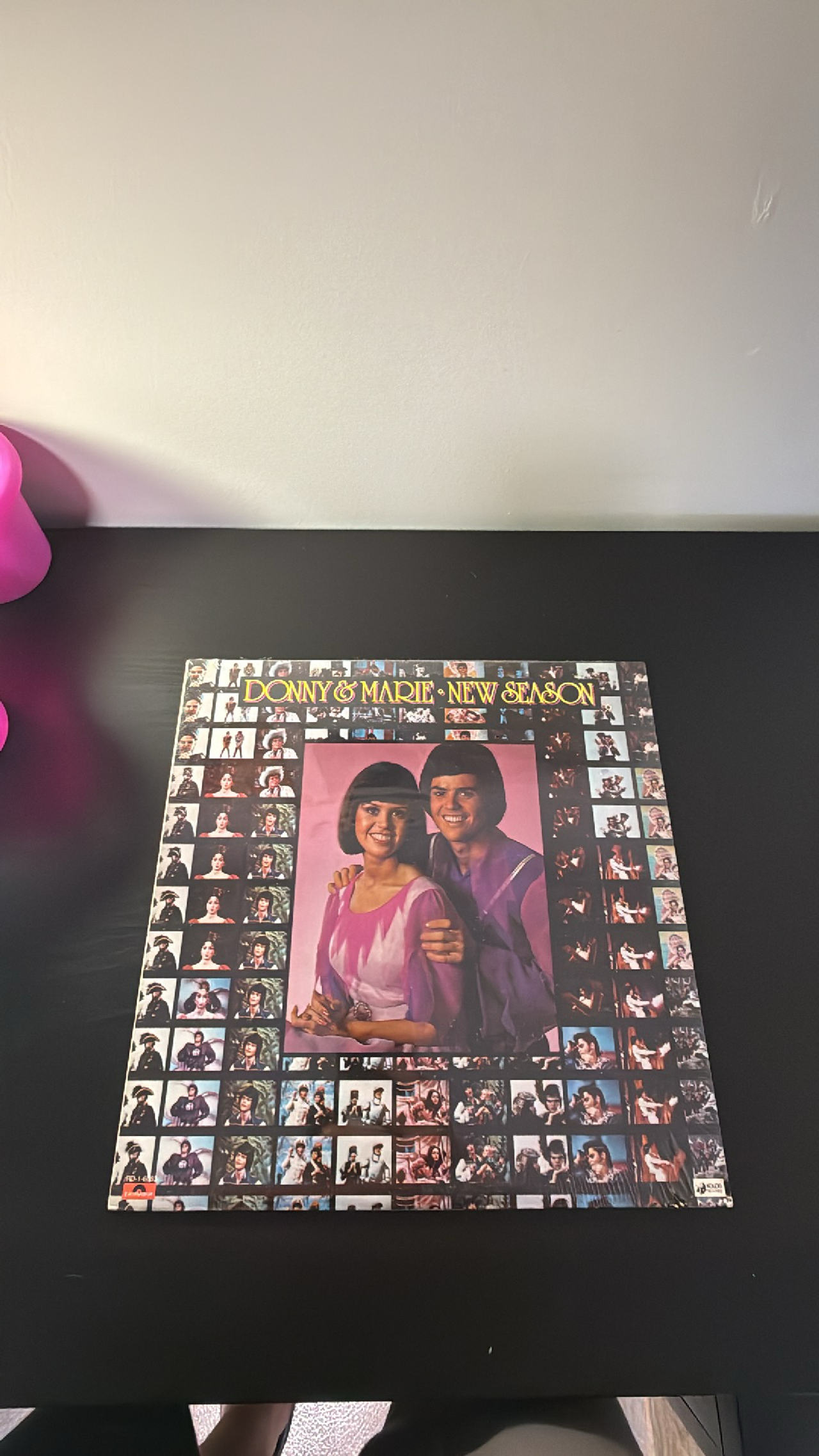 Donny & Marie - New Season (Vinyl LP)