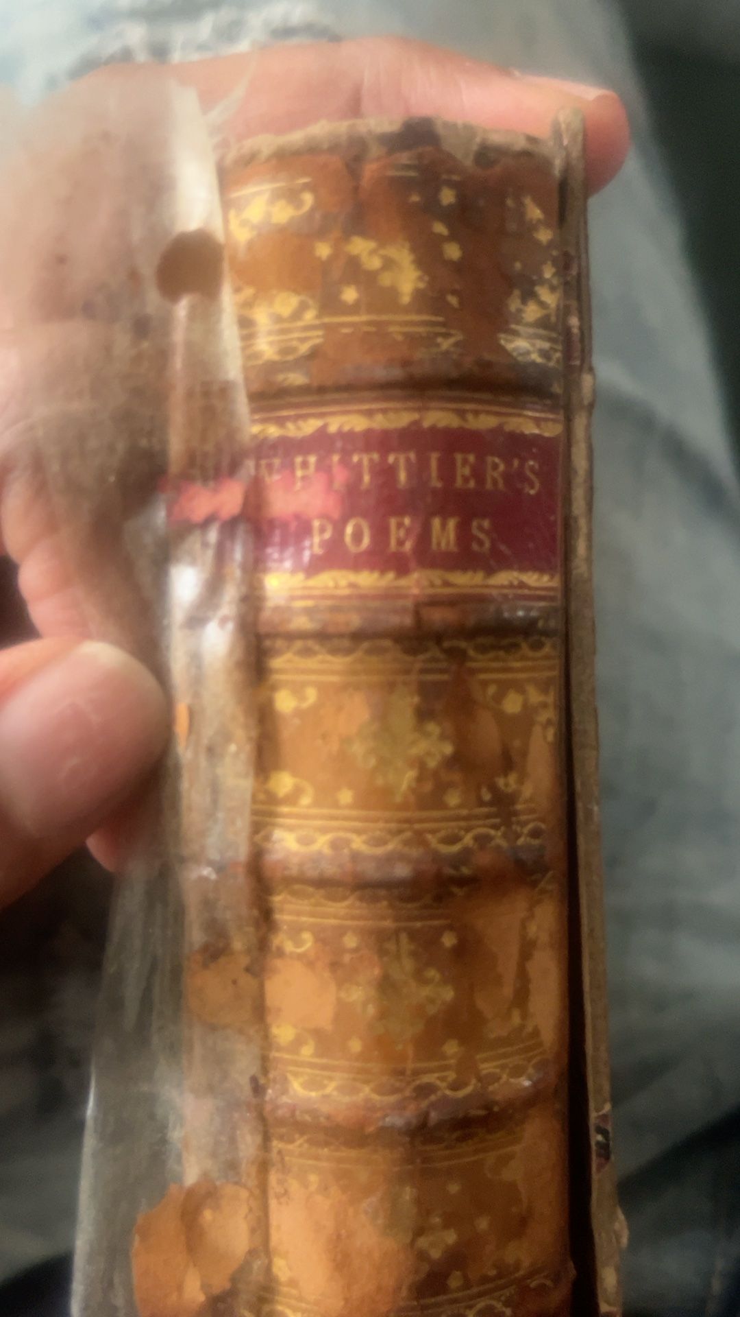 Antique Leather-Bound Classic Book