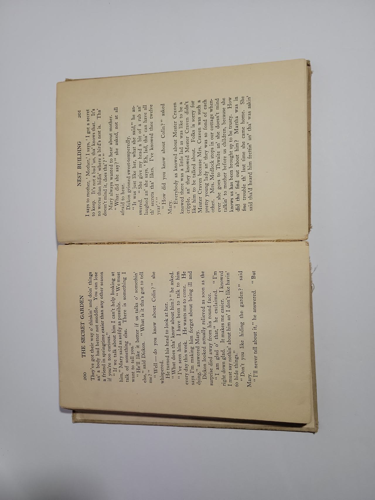 The Secret Garden by Frances Hodgson Burnett (Vintage Edition)