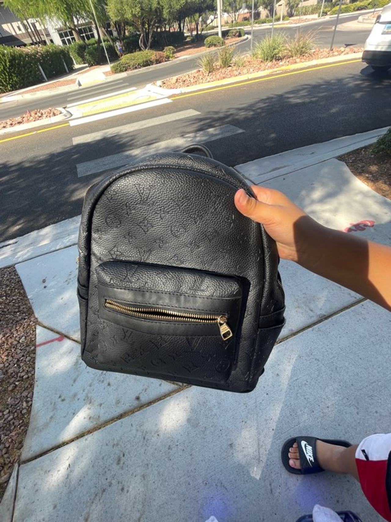 Louis Vuitton Palm Springs Mini Backpack