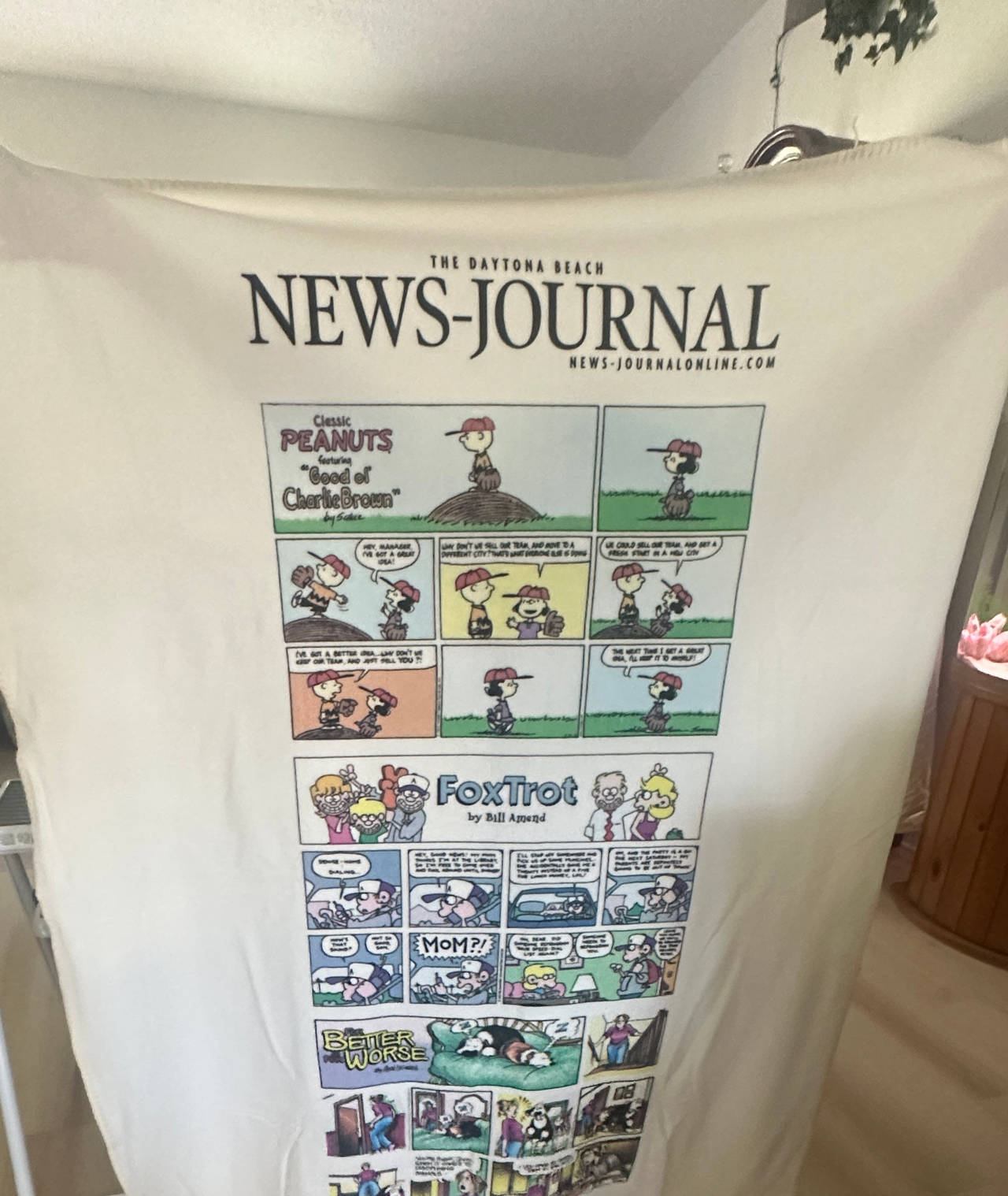 Daytona Beach News-Journal Sunday Comics Blanket