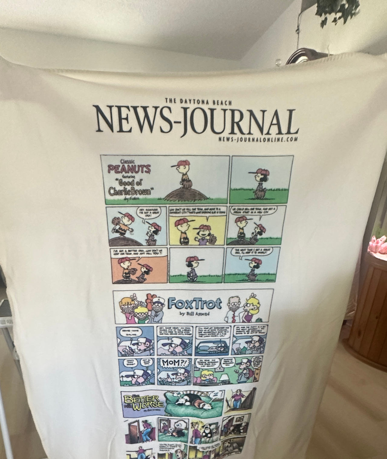Daytona Beach News-Journal Sunday Comics Blanket
