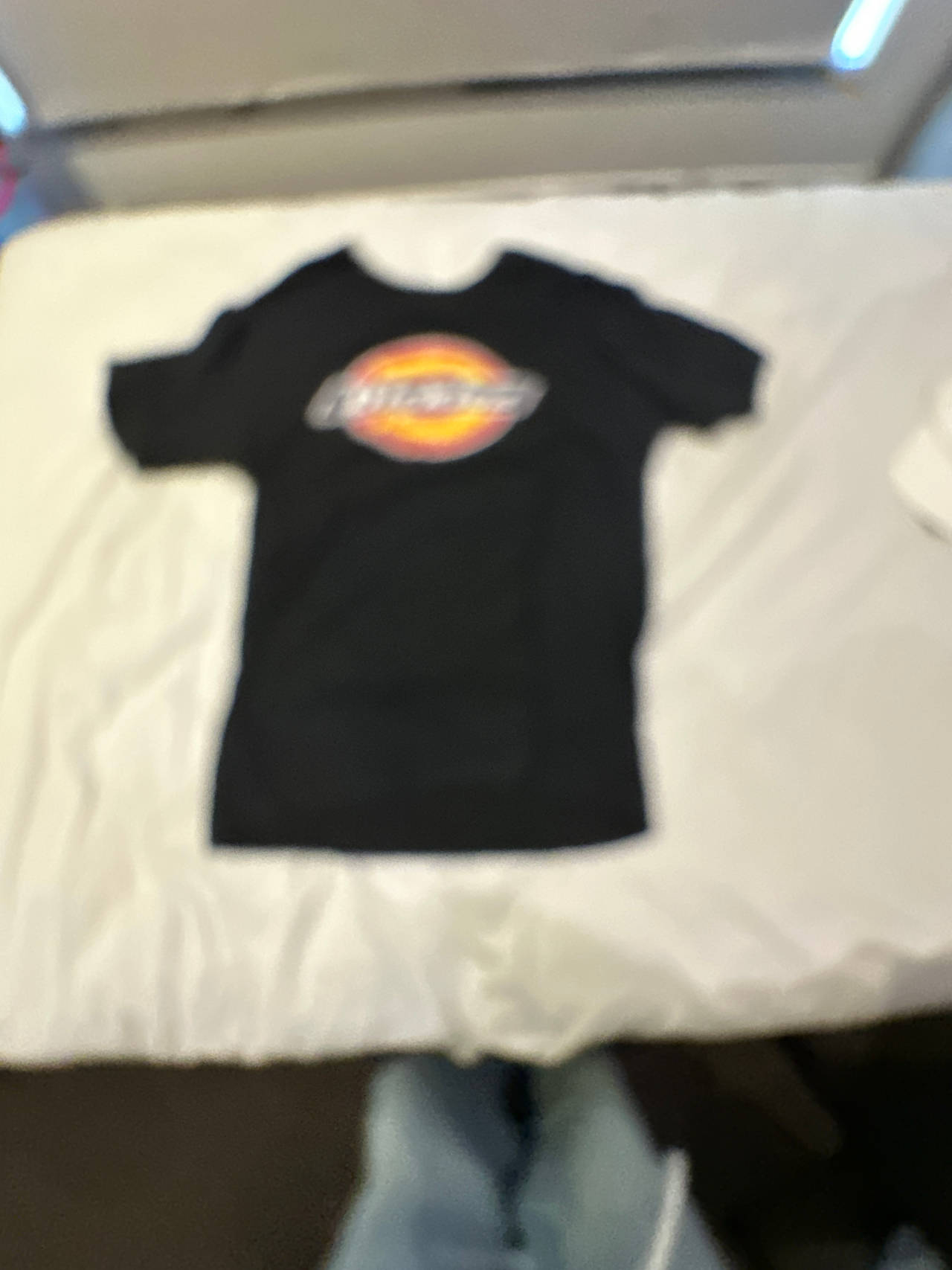Dickies Logo T-Shirt
