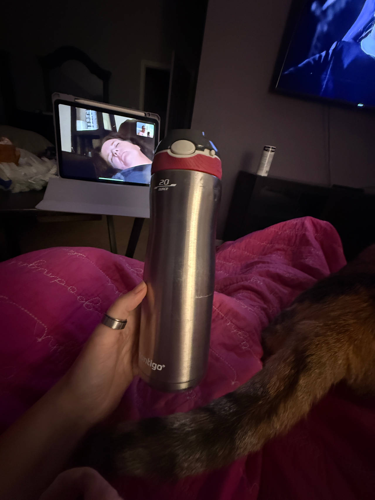 Contigo Autoseal Stainless Steel Water Bottle