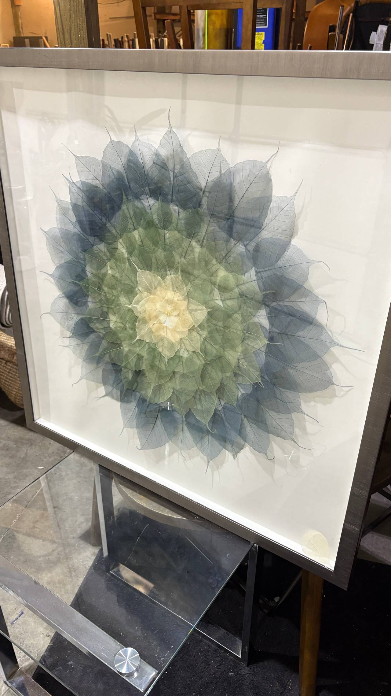 Framed Botanical Wall Art