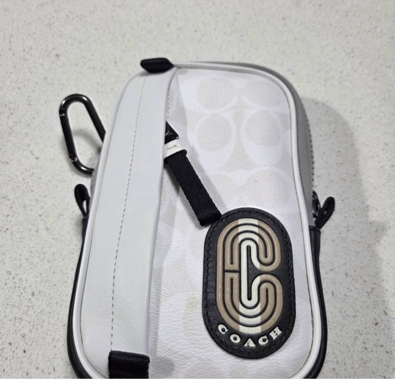 Coach Colorblock Pouch Ivory North South Hybrid
