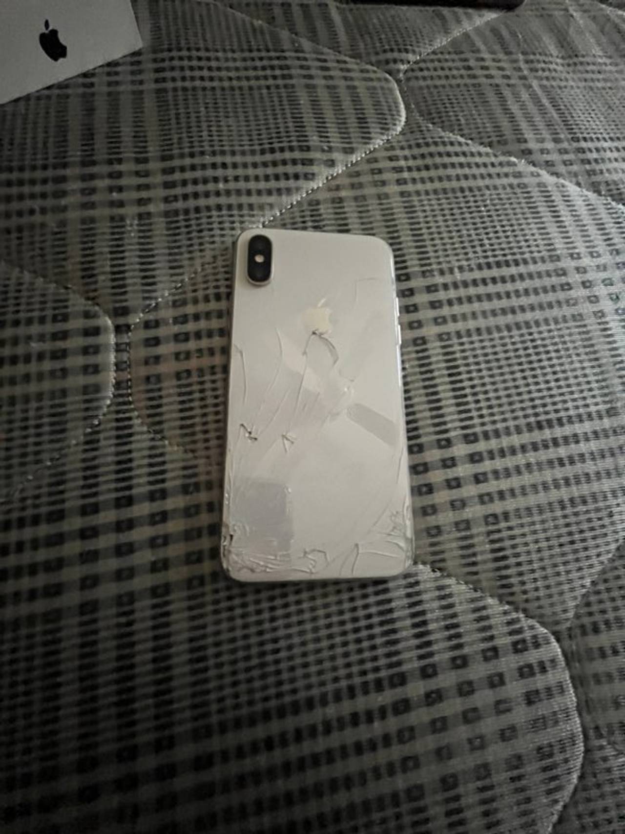 Apple iPhone X