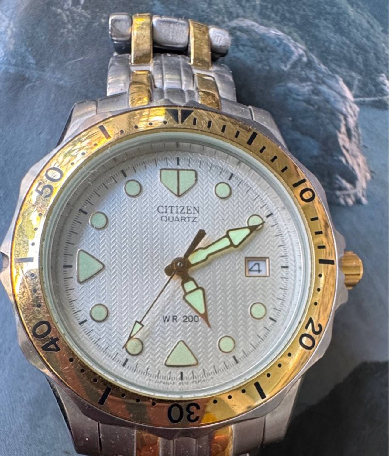Citizen Quartz WR 200 Two-Tone Diver Watch